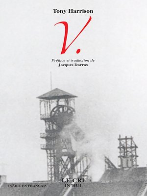 cover image of V.